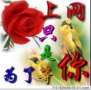 1135068240主播照片