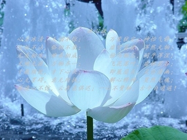銀鈅⋌⋚主播照片
