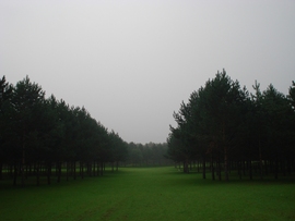 ゞ巴山夜雨℡主播照片