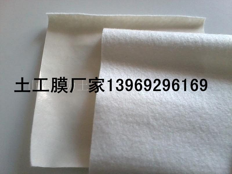宋红霞的主播照片