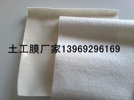 宋红霞主播照片