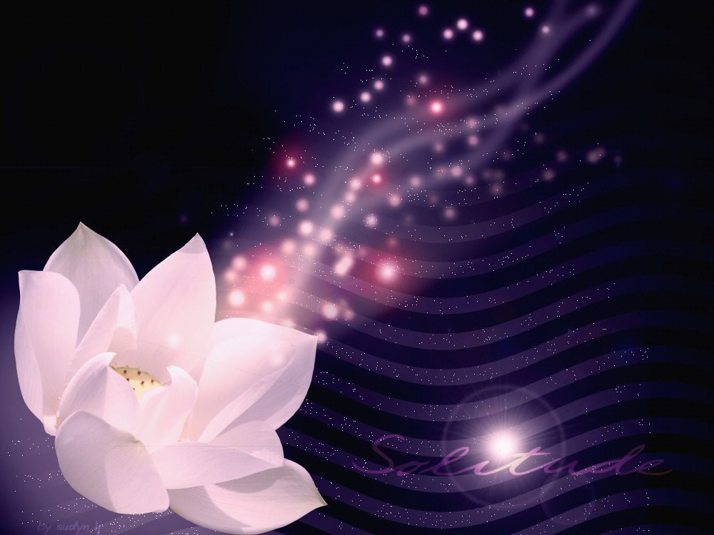 小武↘哥的主播照片