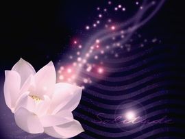 小武↘哥主播照片