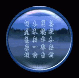 看直播------主播照片