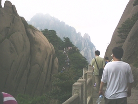 ˋ★│巫毒♂权哥°主播照片