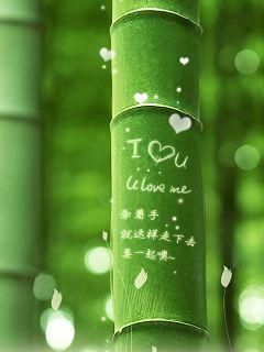 々默伤主播照片