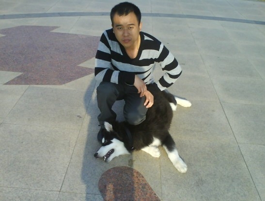 游戏人间强的主播照片