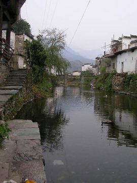 瑞木林莎主播照片