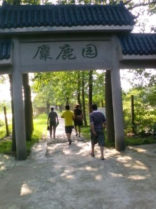 因Ni改变的主播照片