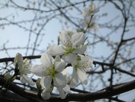じ0vЁ鸣❤人主播照片