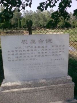 因Ni改变主播照片