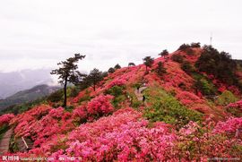 龙1618希主播照片