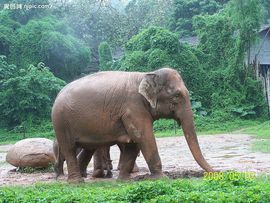 dd西北浪子主播照片