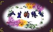 星光★一天的主播照片