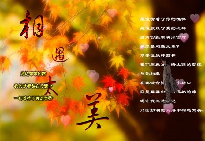 关注你的川哥的主播照片