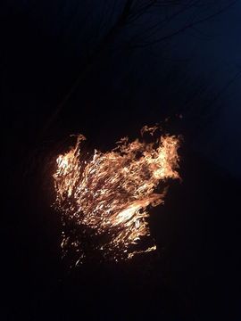 紫圣~主播照片