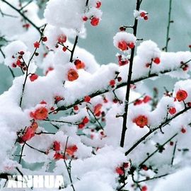 芳子===主播照片