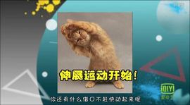 😸熱饅頭主播照片