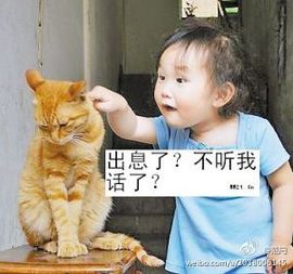 清风论坛主播照片