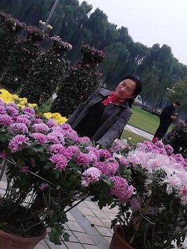 雨中丽人主播照片
