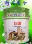 真帝漆主播照片