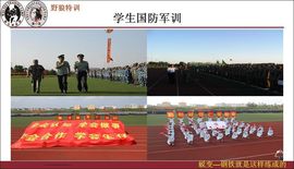 野狼特训基地主播照片