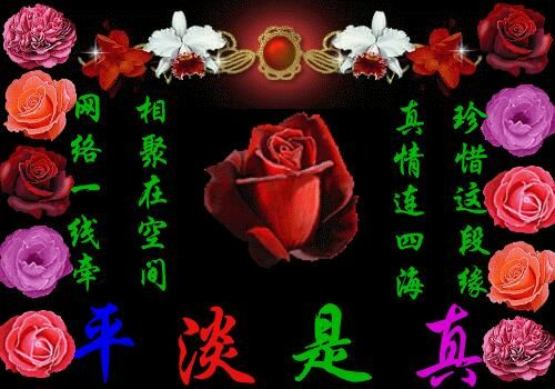 Top℡龙的主播照片