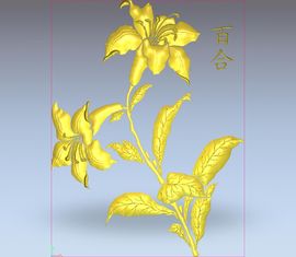 baihe主播照片