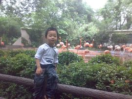 xiaoyezi主播照片