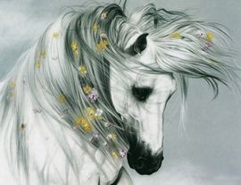 风中の尘埃主播照片