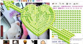 淼淼❤猫妖主播照片