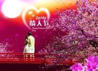 一棵树758主播照片