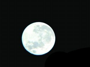 光速素诉俗的主播照片