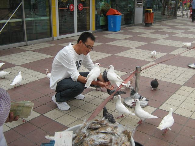 老公真好的主播照片