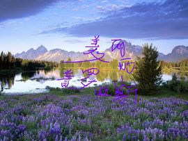 じ0vE晓♥尚主播照片