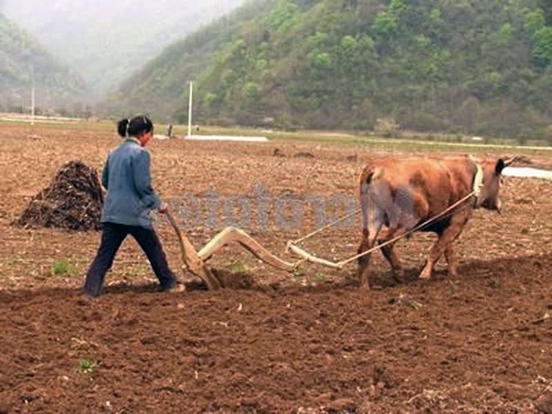 秦倩倩06gjnp的主播照片