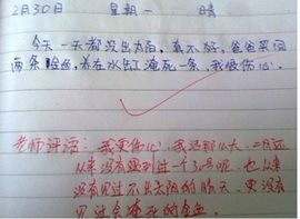 UC段友≥赵日天主播照片