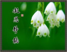 昵称违规，请重新修改主播照片