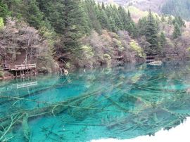 荭苕花❀很葿主播照片