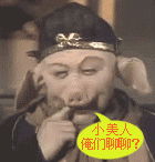 孤独的特哥主播照片