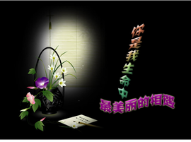 美女请你主播照片