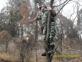 迷彩狼★我为兵狂主播照片