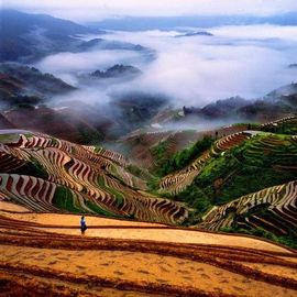 美丽山峰主播照片