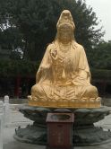 v明哥仔v的图片