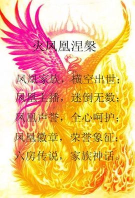 ☜龙君儿☞主播照片