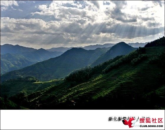 溪烟岚雾的主播照片