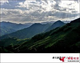 溪烟岚雾主播照片