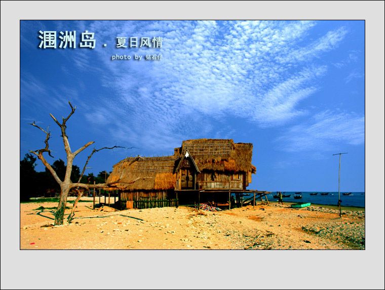 钻石仔的主播照片