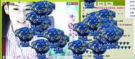 ✿炫彩主播照片