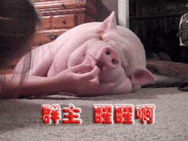 暮景残光主播照片